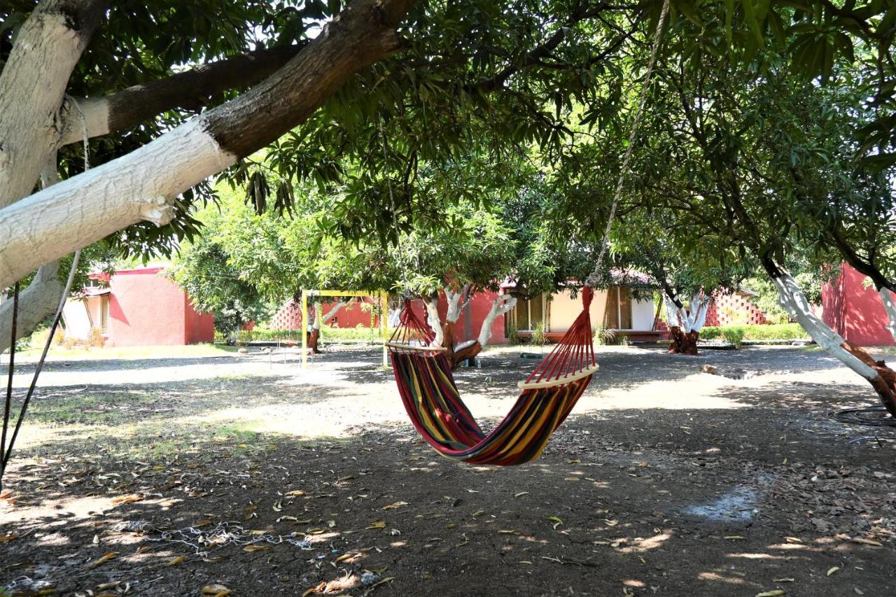 Amraness Luxury Resort Sasan Gir Exteriör bild